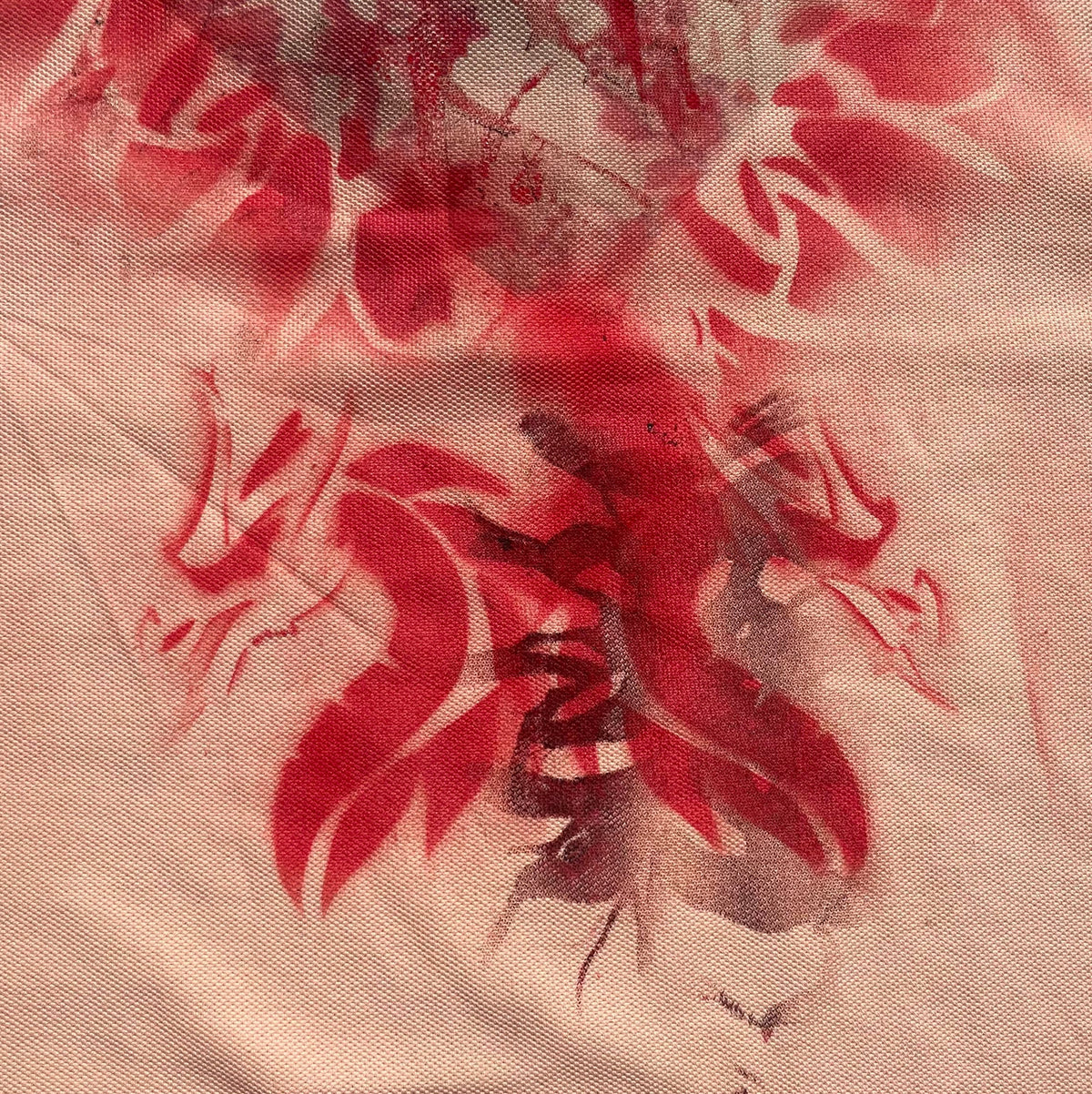 Dragones Rojos